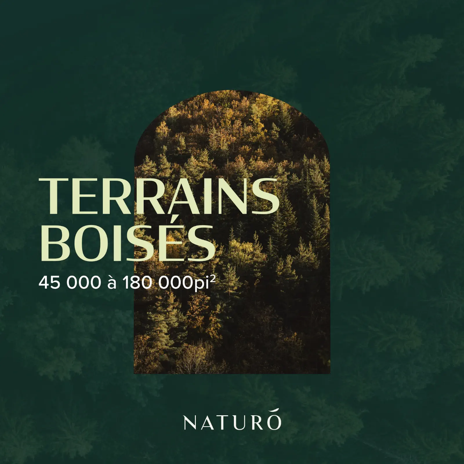 BOLÉAN Branding image