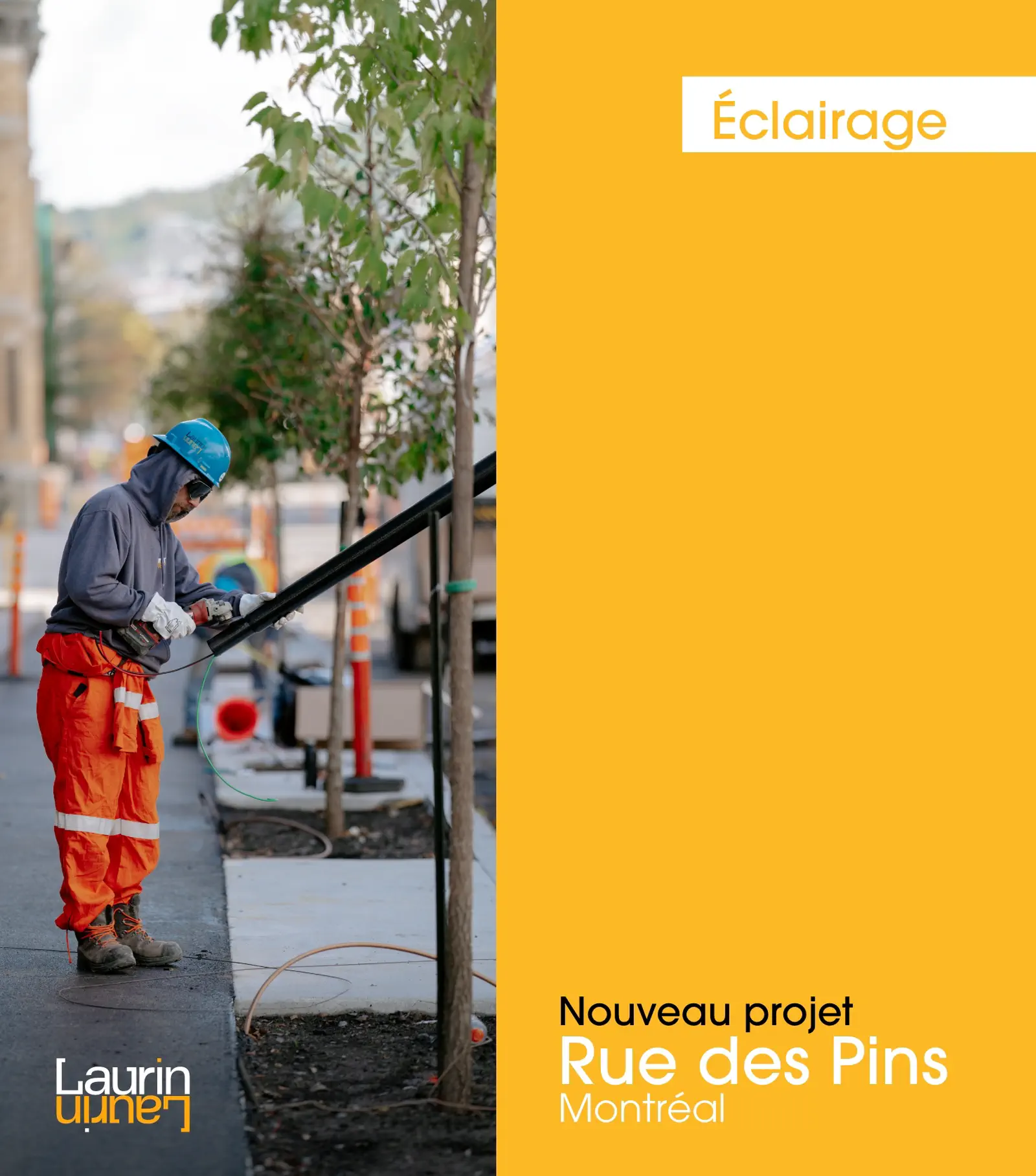 BOLÉAN Branding image