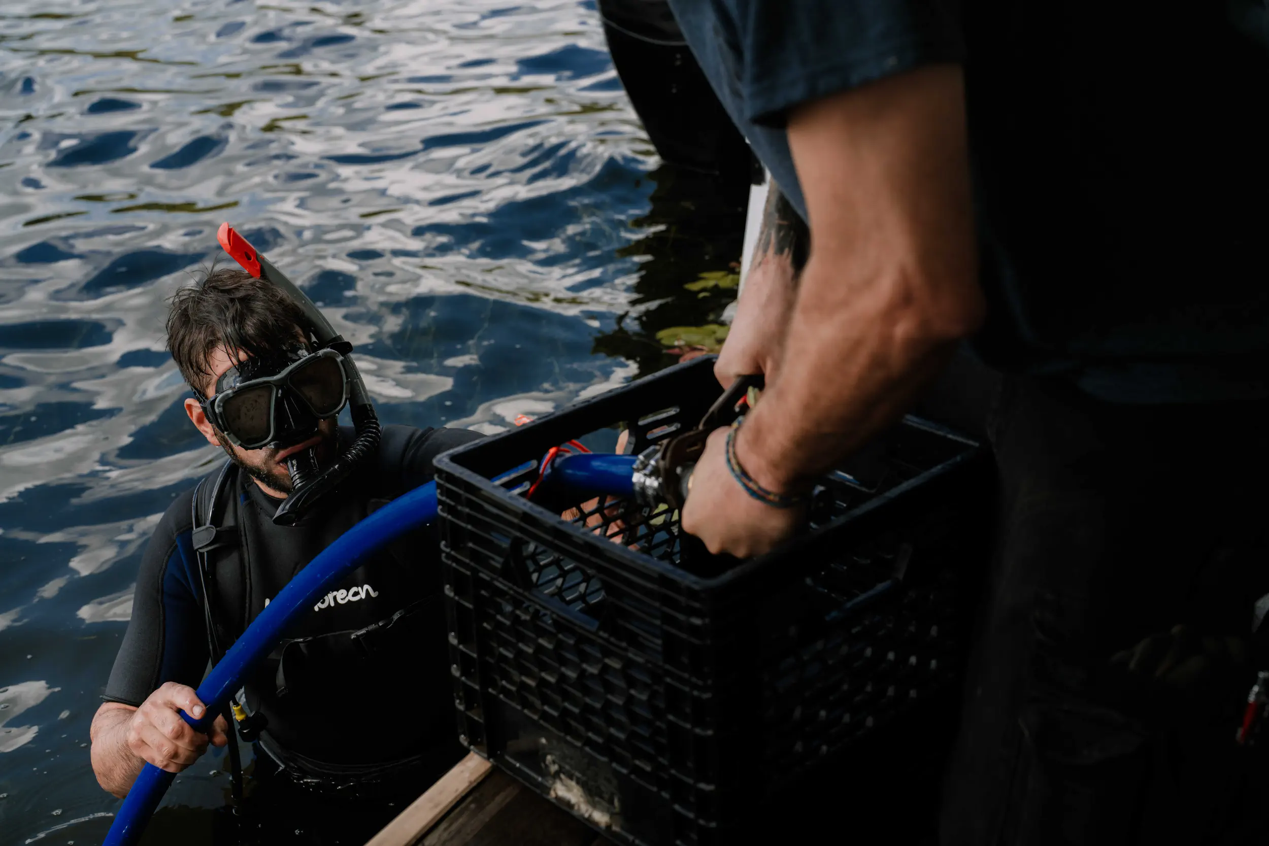 BOLÉAN Branding image